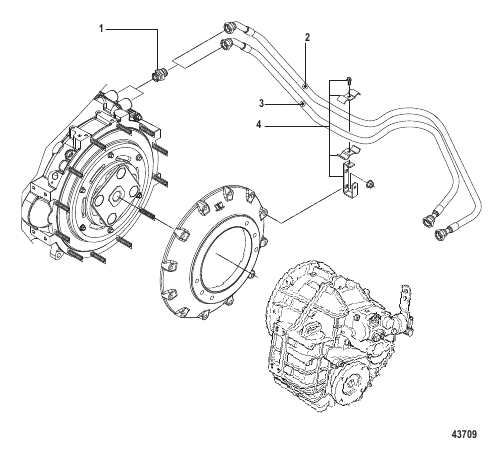 Transmission Hoses