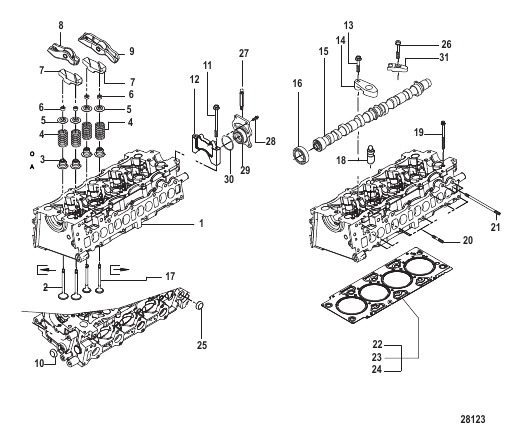 Camshaft and Cylinder Head