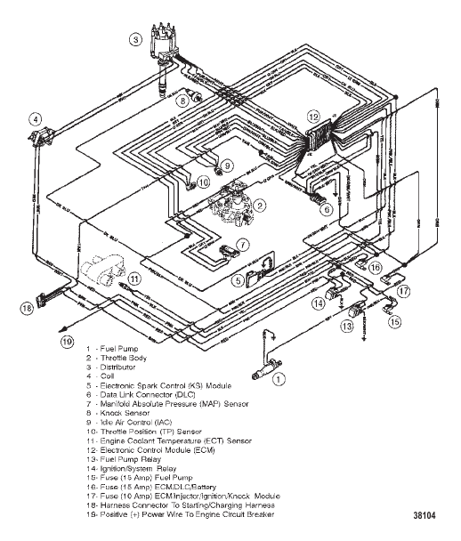 WIRING HARNESS (EFI)