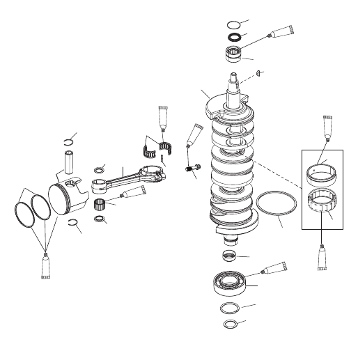 Crankshaft, Pistons and Connecting Rods 200/225/200 Pro XS