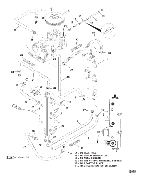 Fuel Rails