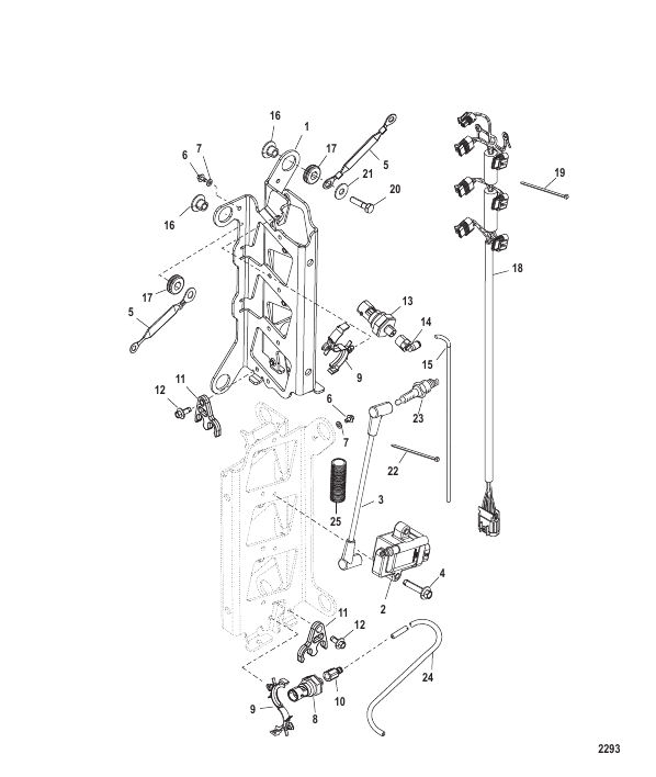 Coil Plate Assembly