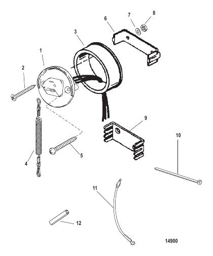 Switch/Lanyard Assembly