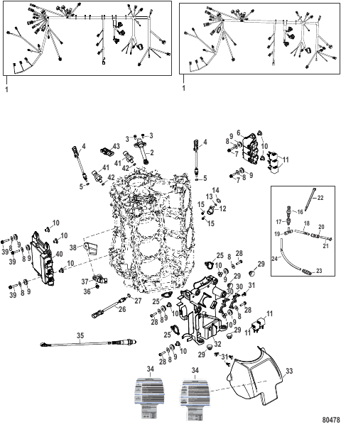 Electrical System Mechanical/Digital Throttle