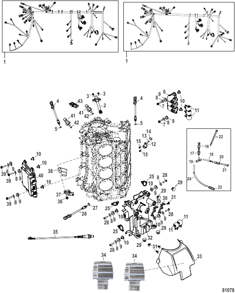 Electrical Mechanical/Digital Throttle